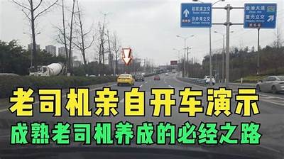 老司机成人免费影院视频大全